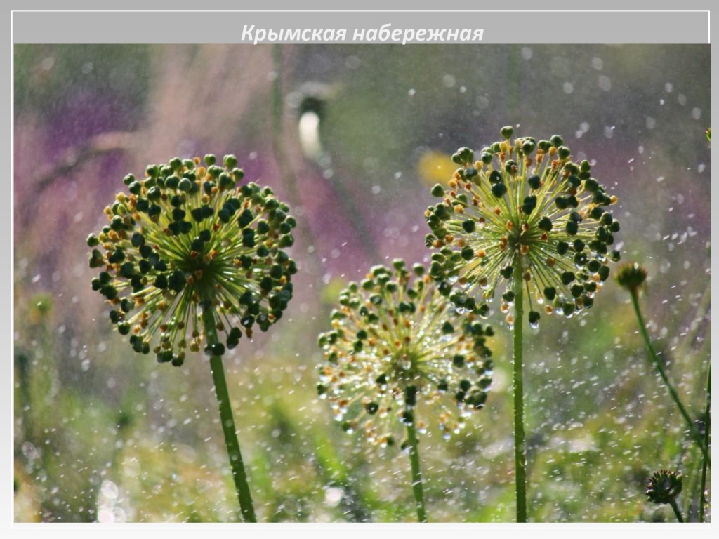 Презентация ПОЛИВФОРУМ 2023_page-0041.jpg