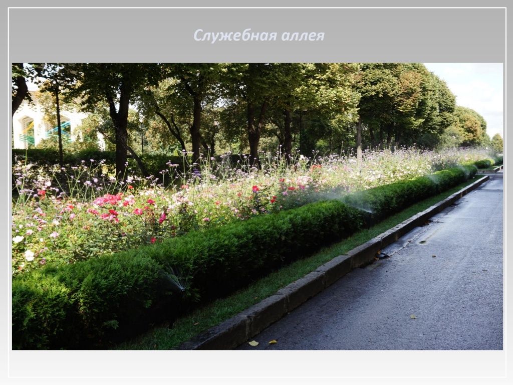 Презентация ПОЛИВФОРУМ 2023_page-0026.jpg